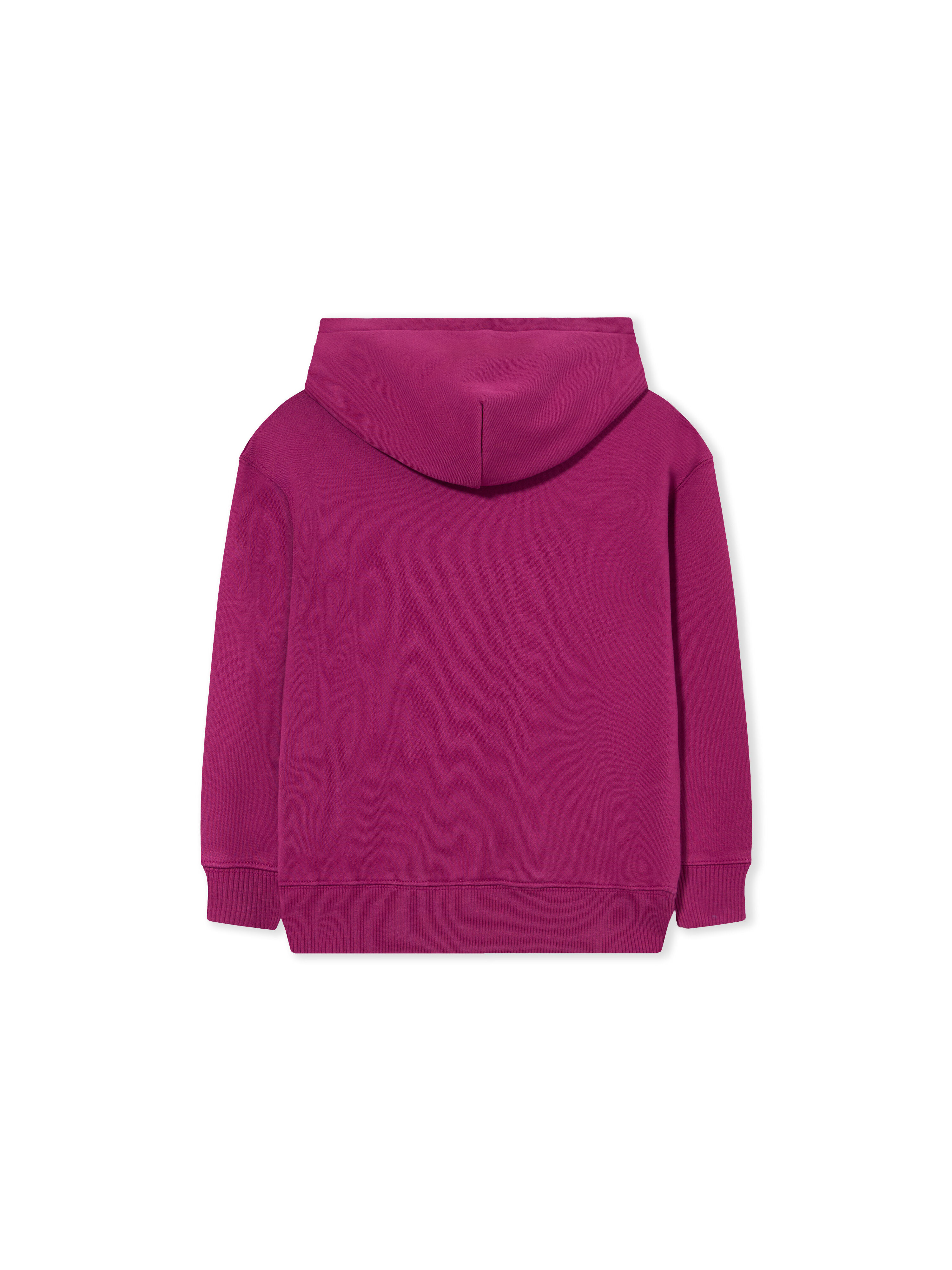 Big Bookish Watercolor Hoodie OFF WHITE Big Bookish Watercolor Hoodie BOYSENBERRY 44GBB002F26F001