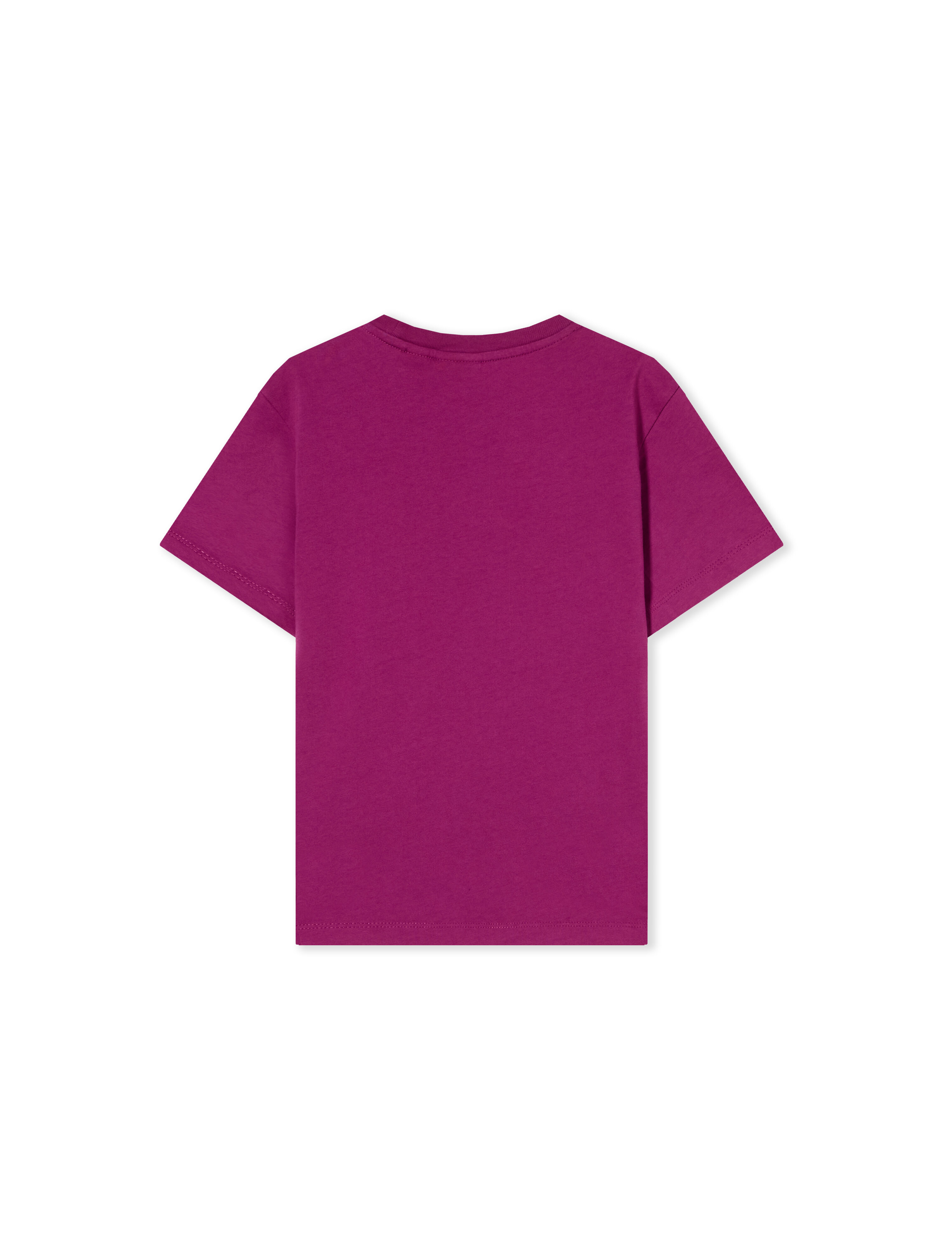 Big Bookish Watercolor Short Sleeve T-Shirt OFF WHITE Big Bookish Watercolor Short Sleeve T-Shirt BOYSENBERRY 44GAA001F26J001