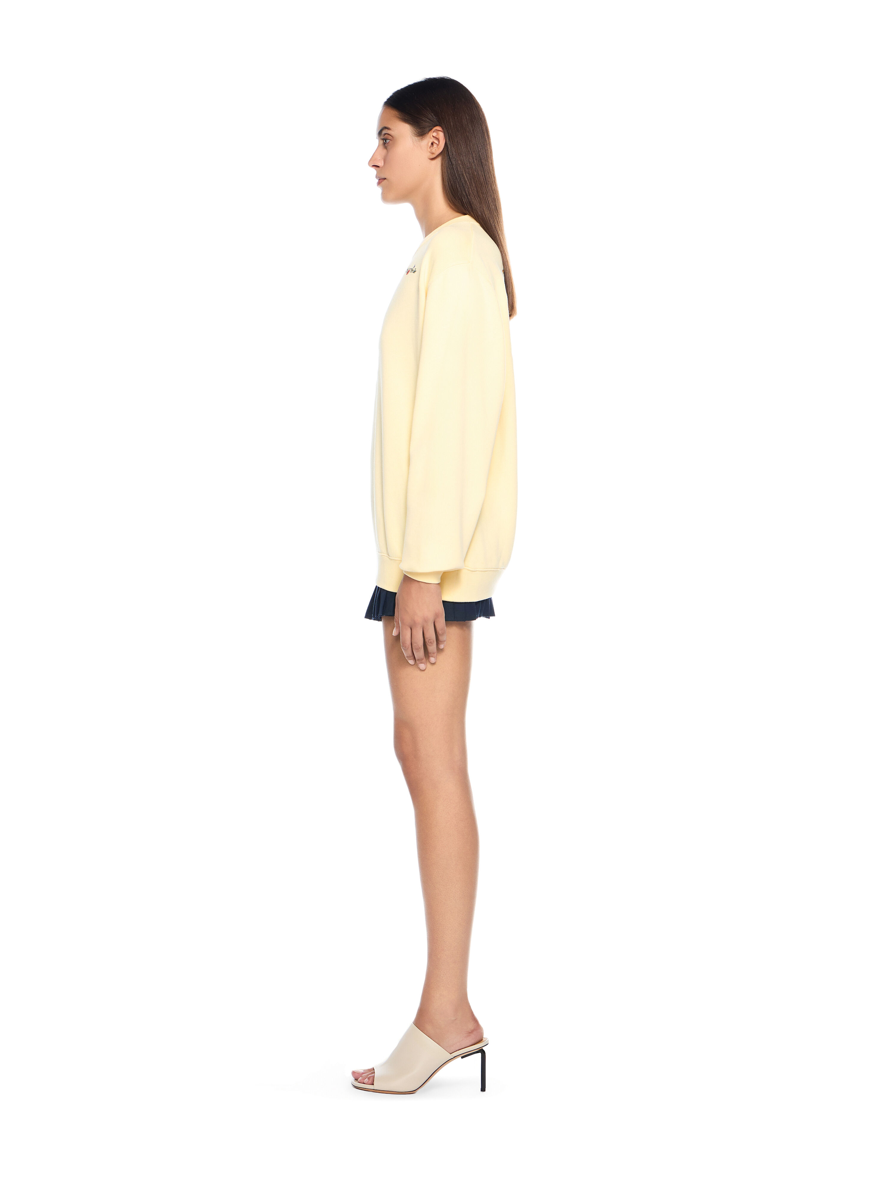 OFF WHITE Arrow Glass Flower Crewneck Logo Sweatshirt DOUBLE CREAM-BLACK OWBA055F25FLE001