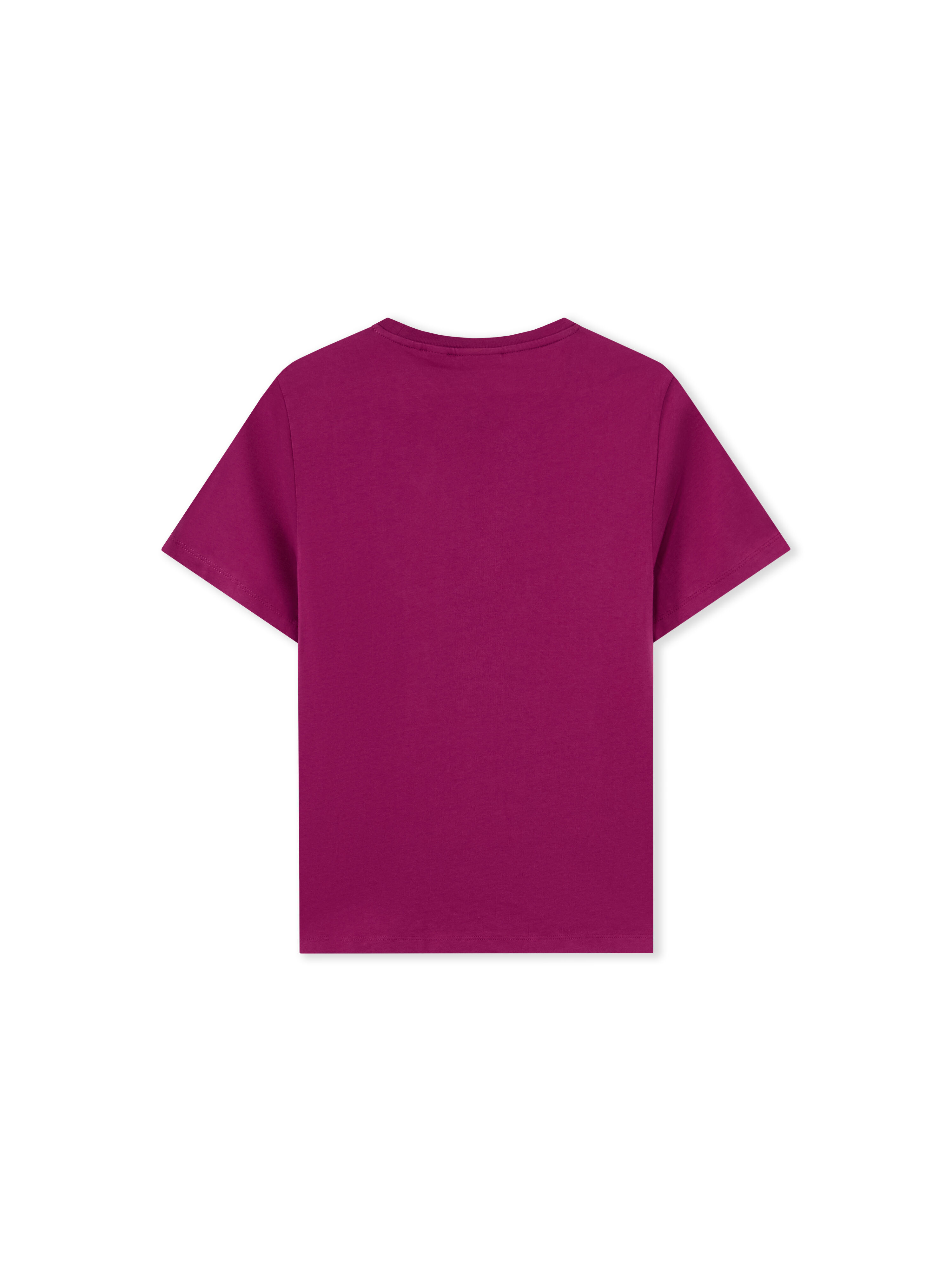Big Bookish Watercolor T-Shirt OFF WHITE Big Bookish Watercolor T-Shirt BOYSENBERRY 44GAA001F26J001