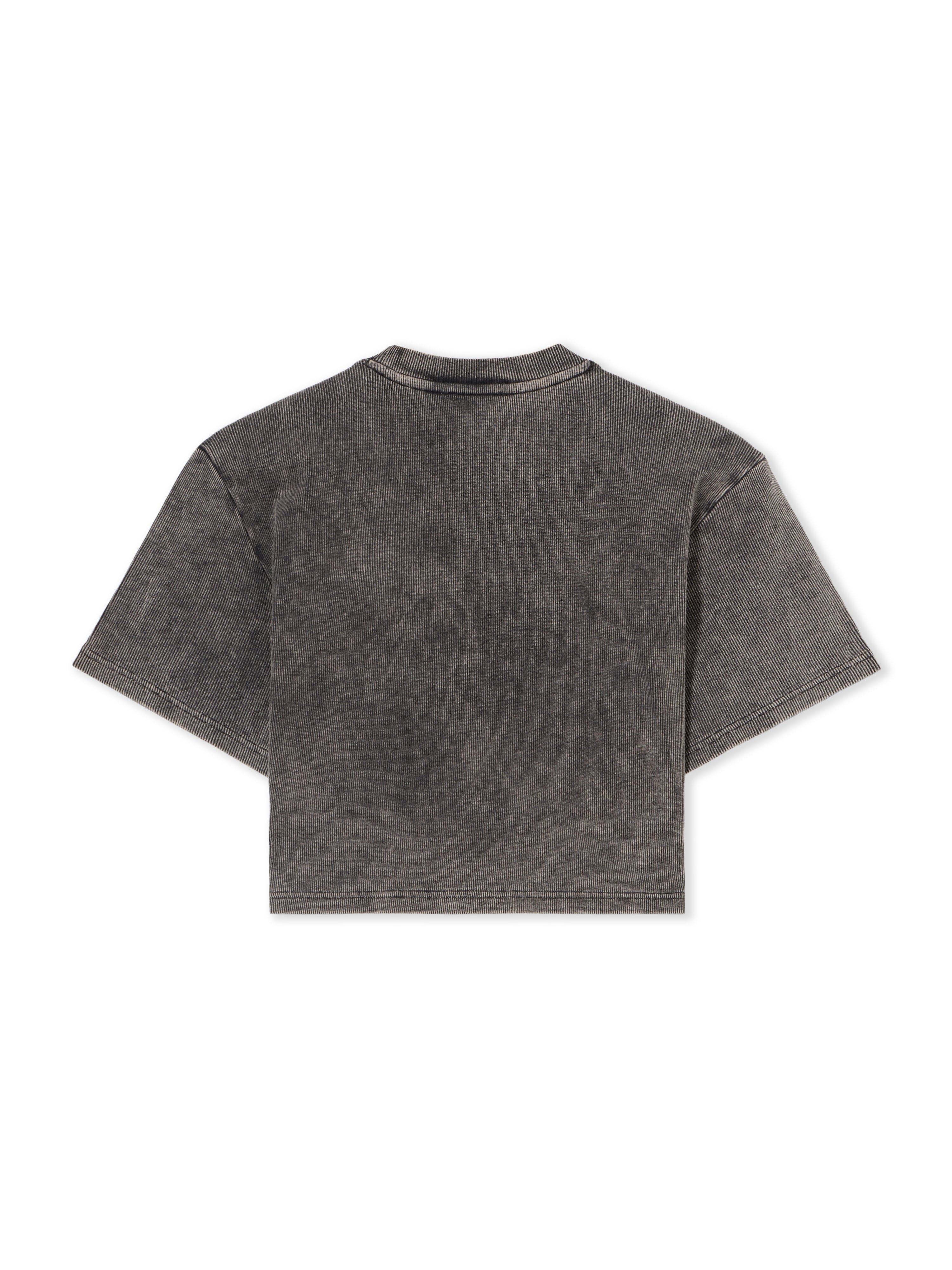 Off Stamp Rib Cropped T-Shirt OFF WHITE Off Stamp Rib Cropped T-Shirt Anthracite OWAA081F25JER001