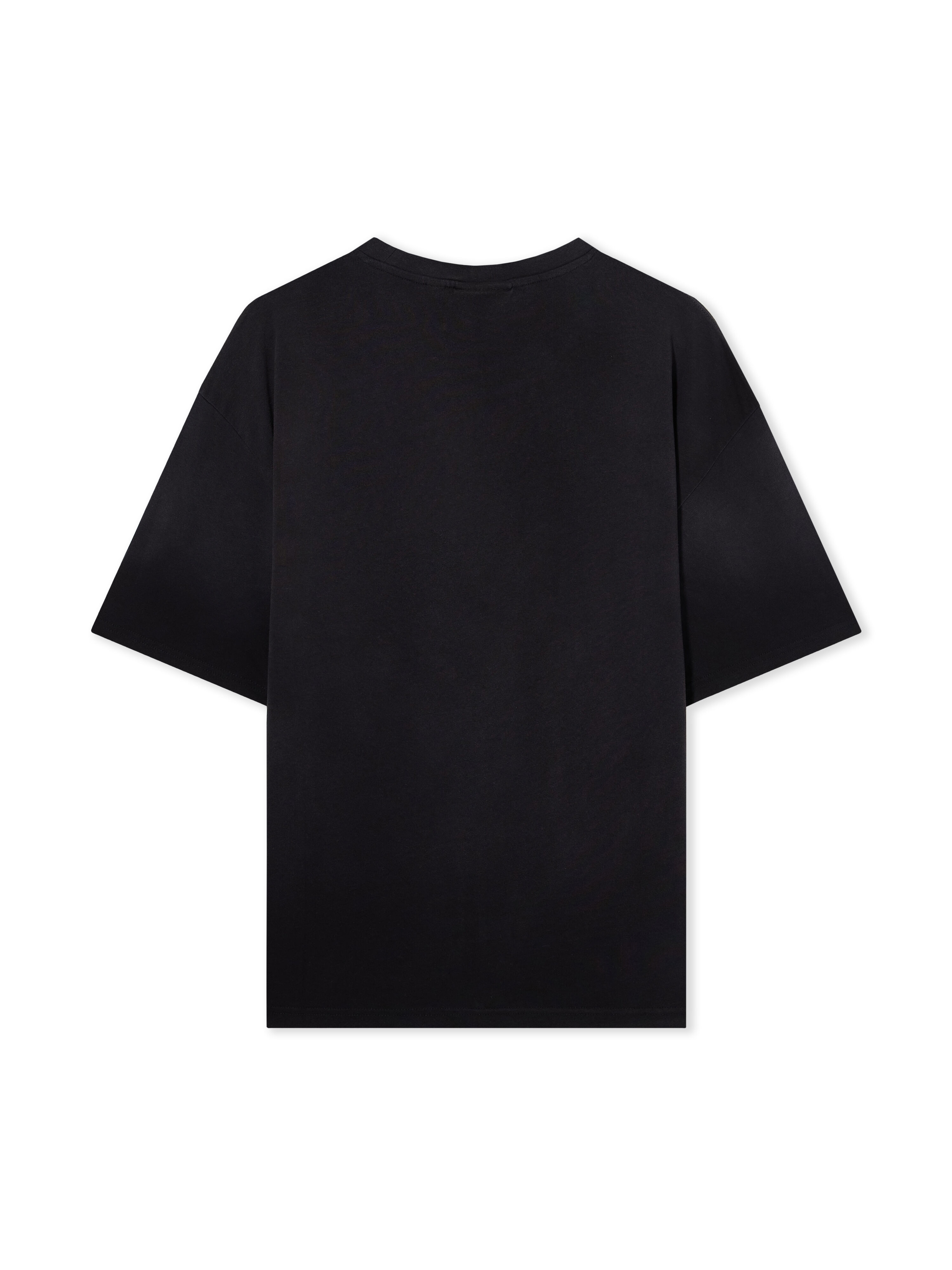 L/AB Diagonal Washed T-Shirt LAB L/AB Diagonal Washed T-Shirt BLACK 44LABF26T059