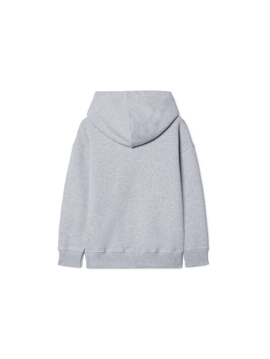 OFF WHITE Big Bookish Hoodie GREY OBBB001S25FLE001