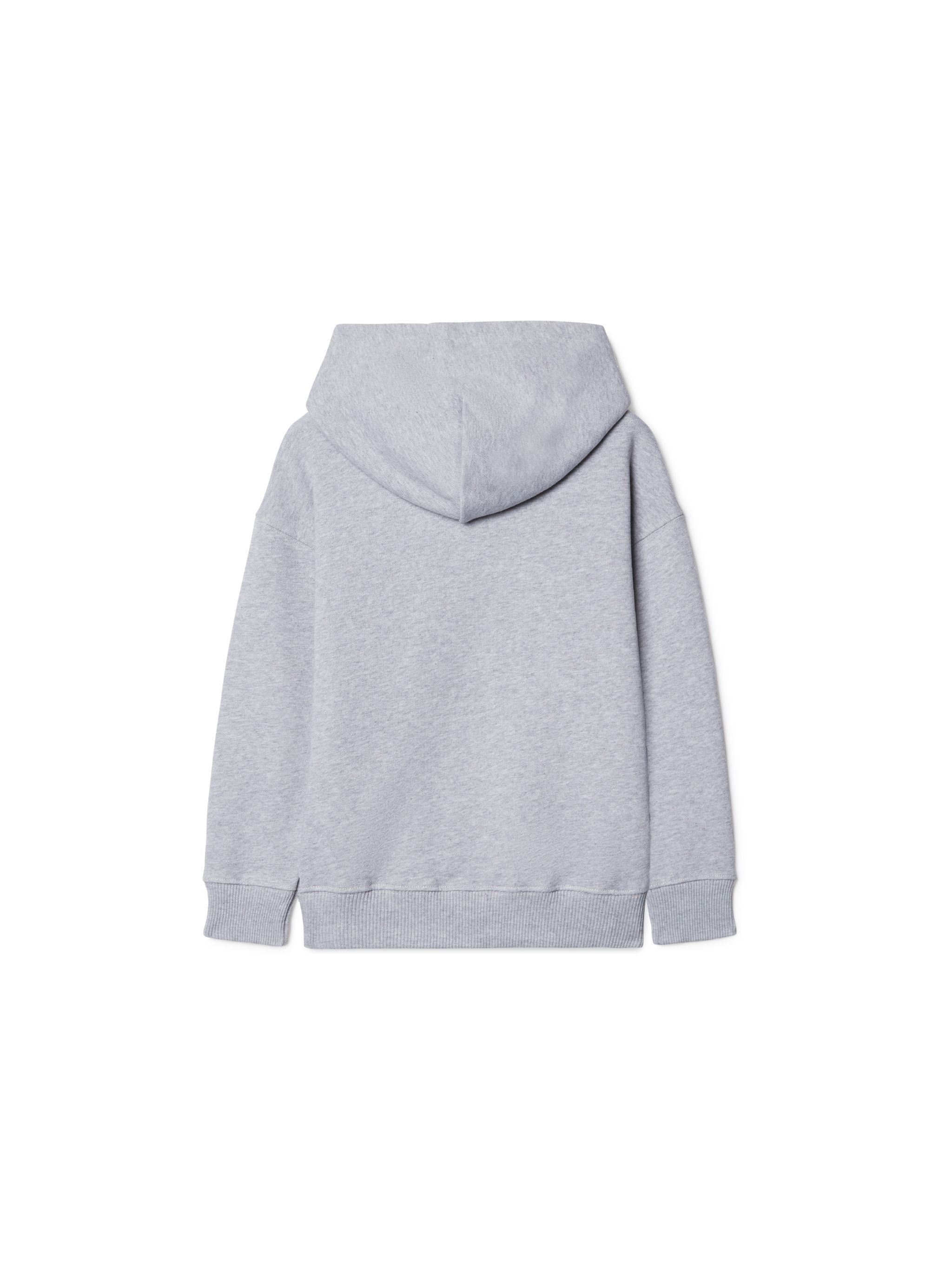 OFF WHITE Big Bookish Hoodie GREY OBBB001S25FLE001