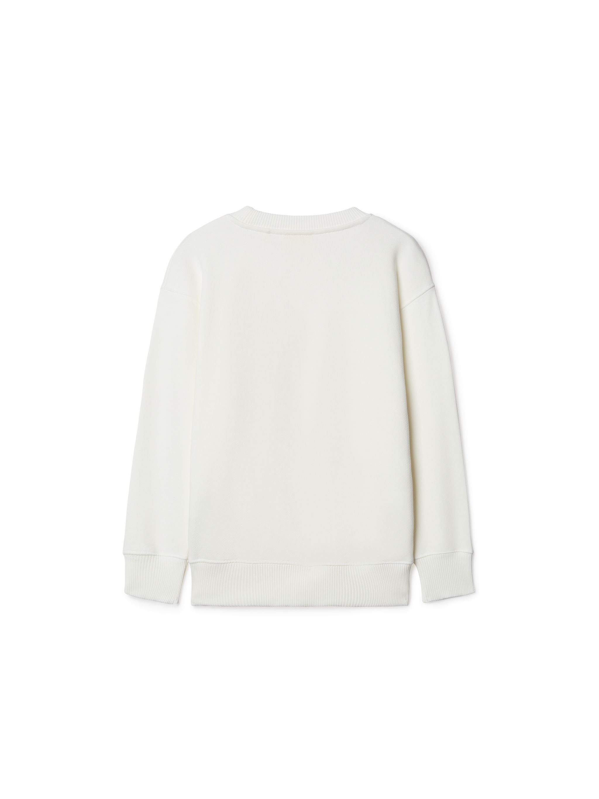 OFF WHITE Big Bookish Sweatshirt WHITE OGBA001S25FLE001