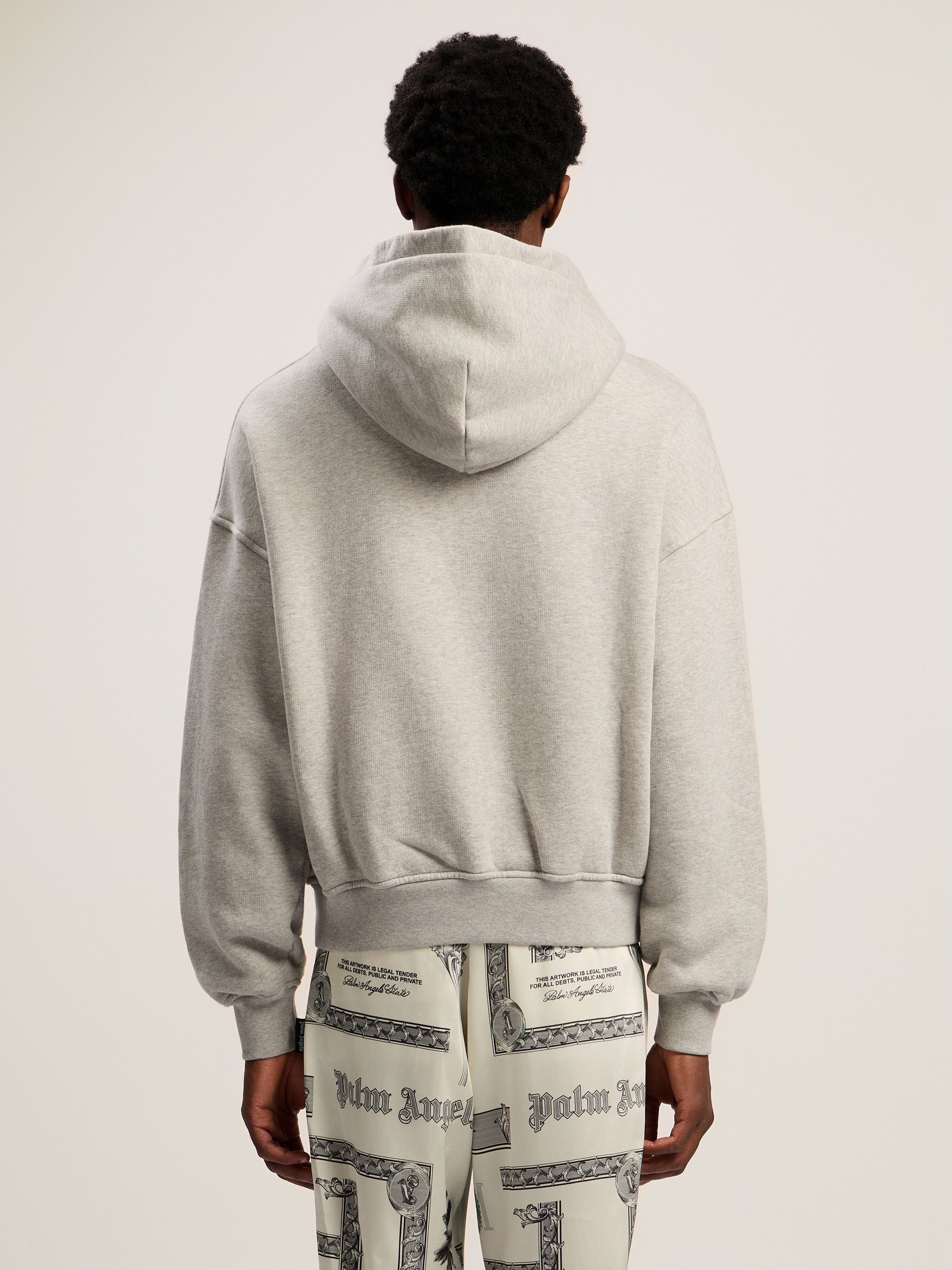 Snake Graphic Hoodie PALM ANGELS Snake Graphic Hoodie GREY MELANGE - GREEN PMBB17GF25FLE001