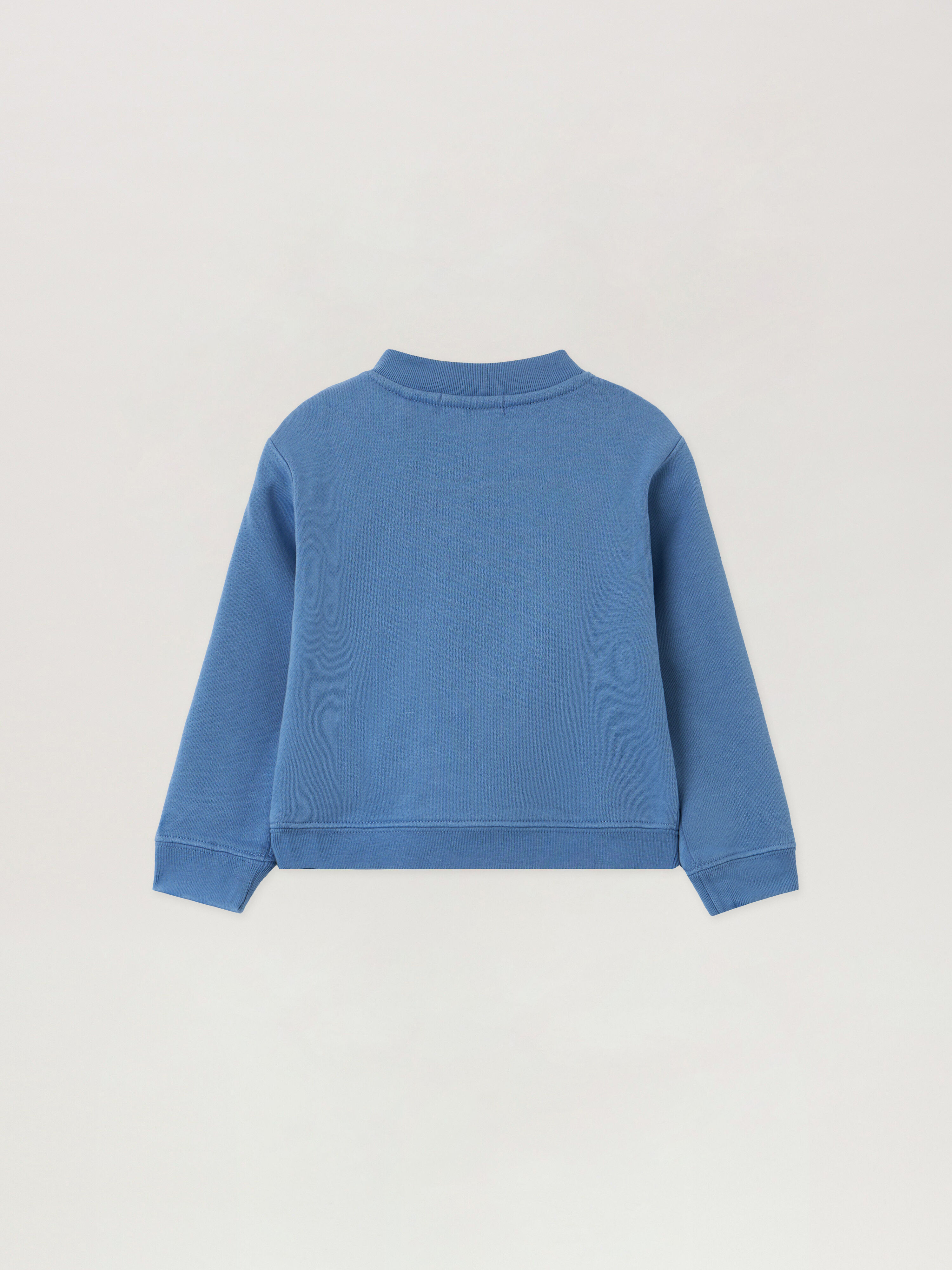 PALM ANGELS Bear Graphic Sweatshirt DUSTY BLUE PBXC001F25FLE001