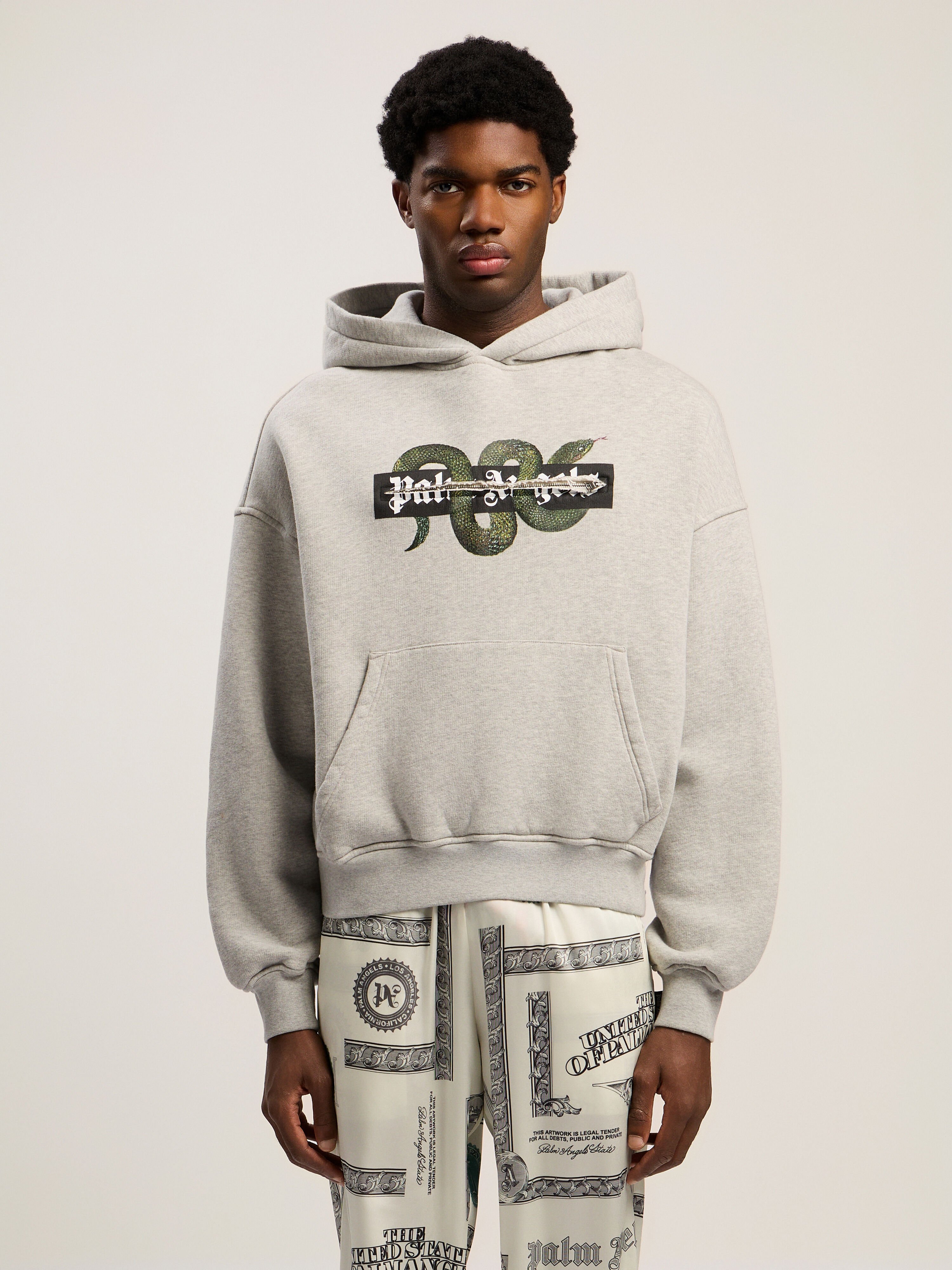 Snake Graphic Hoodie PALM ANGELS Snake Graphic Hoodie GREY MELANGE - GREEN PMBB17GF25FLE001