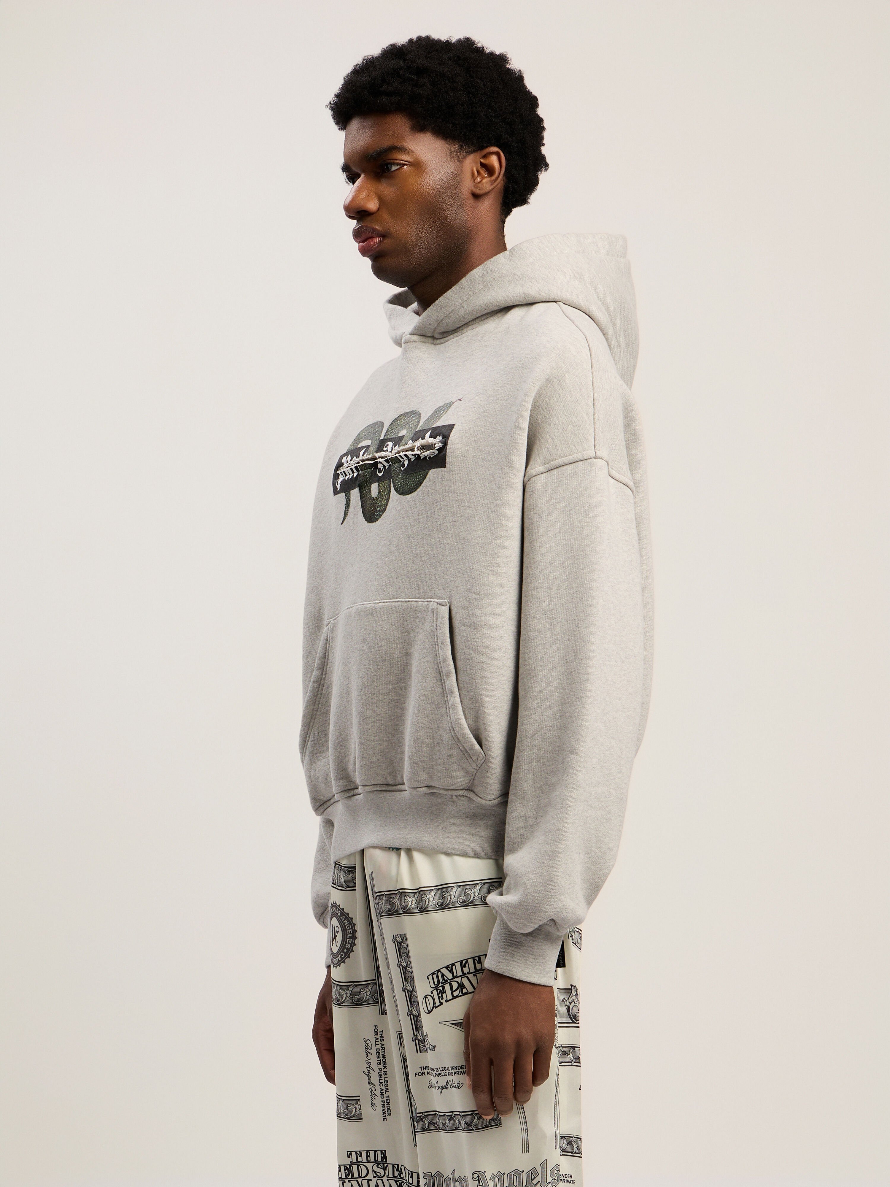 Snake Graphic Hoodie PALM ANGELS Snake Graphic Hoodie GREY MELANGE - GREEN PMBB17GF25FLE001
