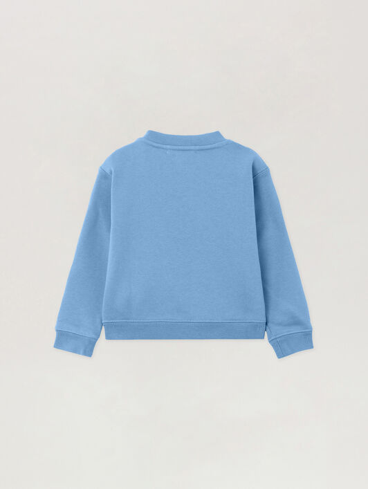 Spray Bear Sweatshirt PALM ANGELS Spray Bear Sweatshirt DUSTY BLUE - NAVY BLUE PBXC001F25FLE003