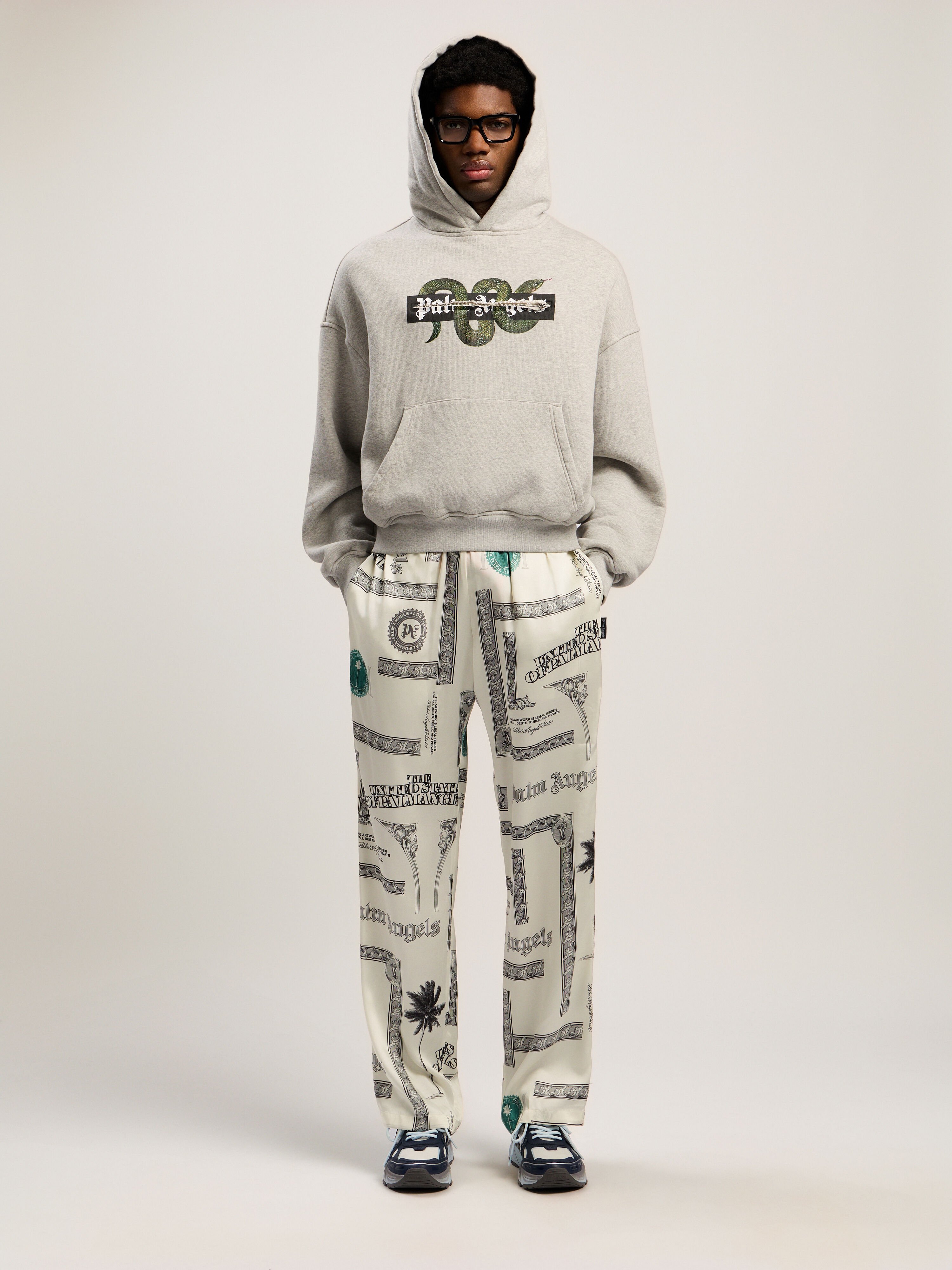 Snake Graphic Hoodie PALM ANGELS Snake Graphic Hoodie GREY MELANGE - GREEN PMBB17GF25FLE001