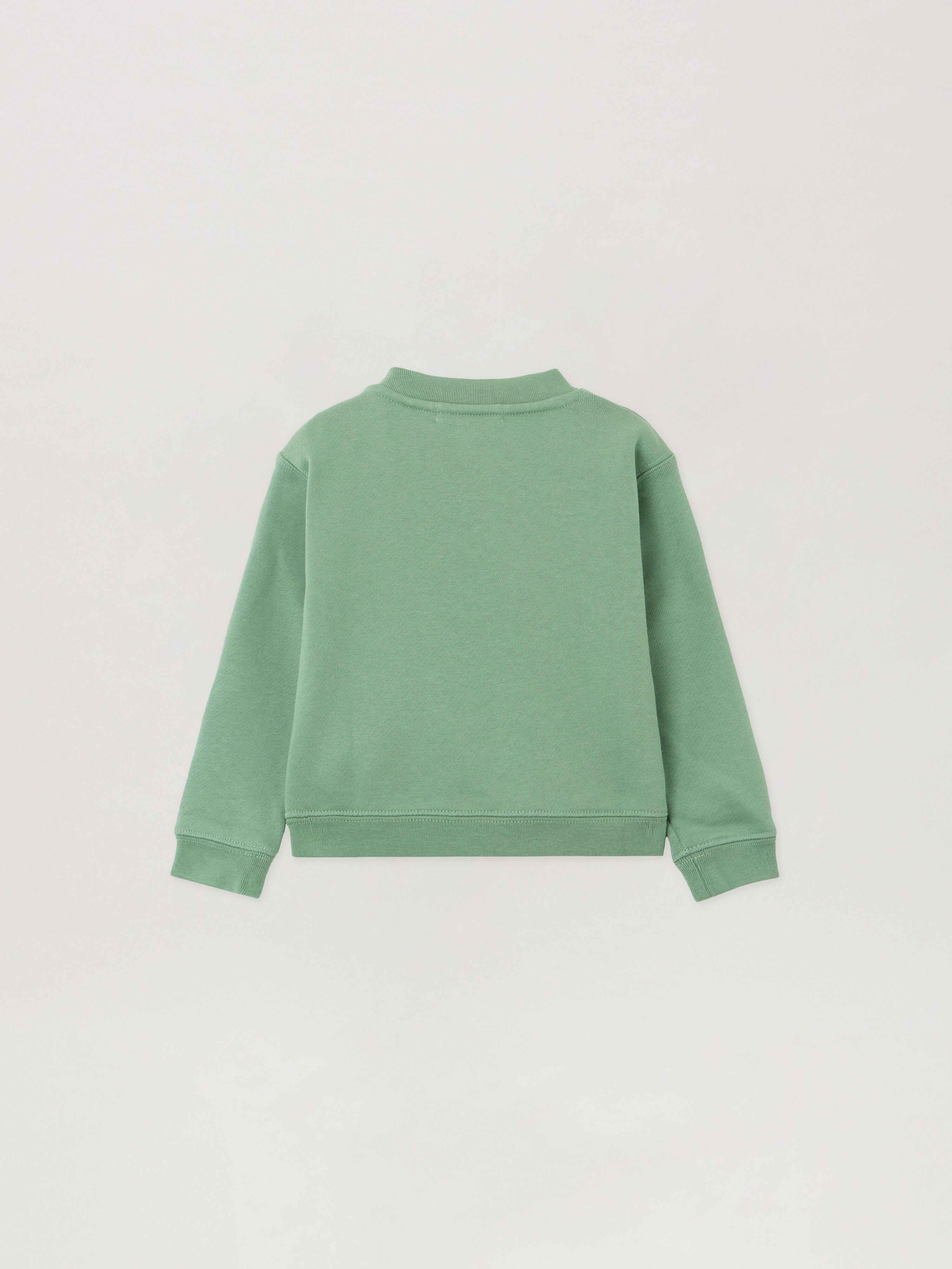 Curved Logo Sweatshirt PALM ANGELS Curved Logo Sweatshirt LIGHT GREEN OFF WHITE PBXC001F25FLE002